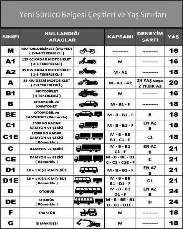 Hangi Yaşta Hangi Ehliyet? – Seyelan Sürücü Kursu